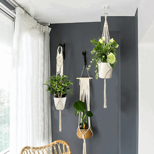 a room with three hanging plants and a wicker chair