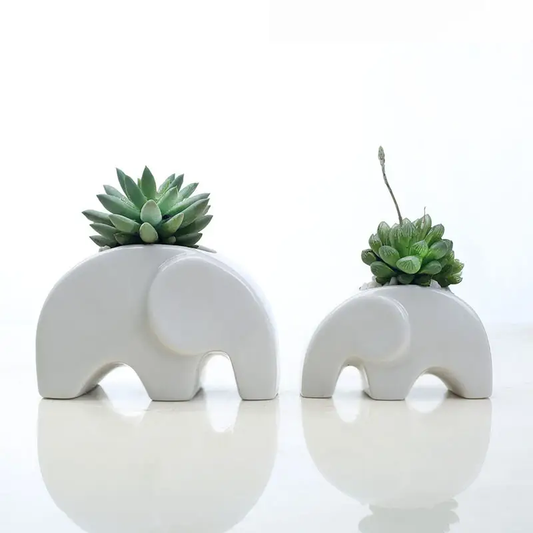 two white elephant planters with succulents in them