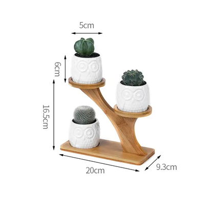 a wooden stand with two white ceramic pots and a cactus