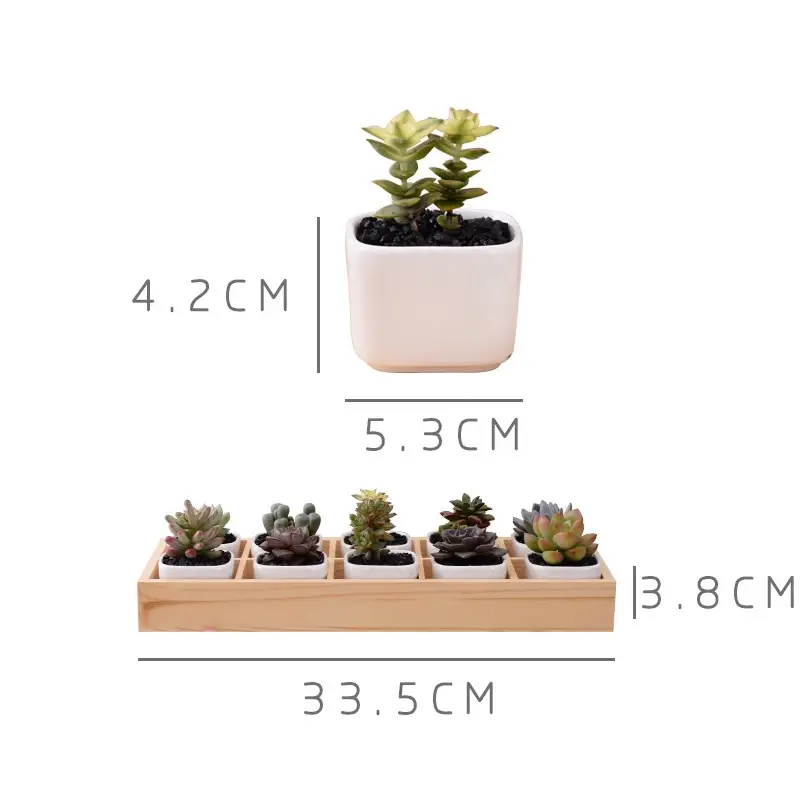 a planter with three different plants in it