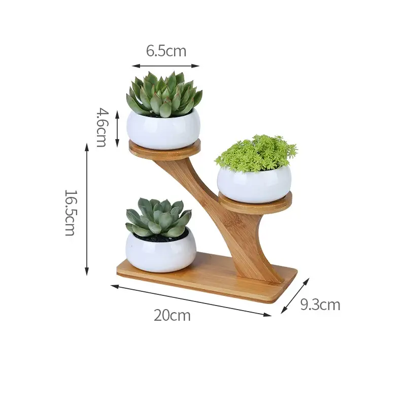 three white planters with succulents on a wooden stand