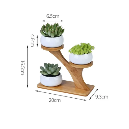 three white planters with succulents on a wooden stand
