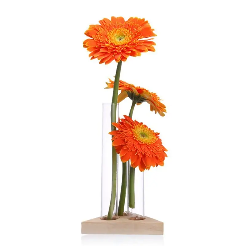 three orange flowers in a glass vase on a white background