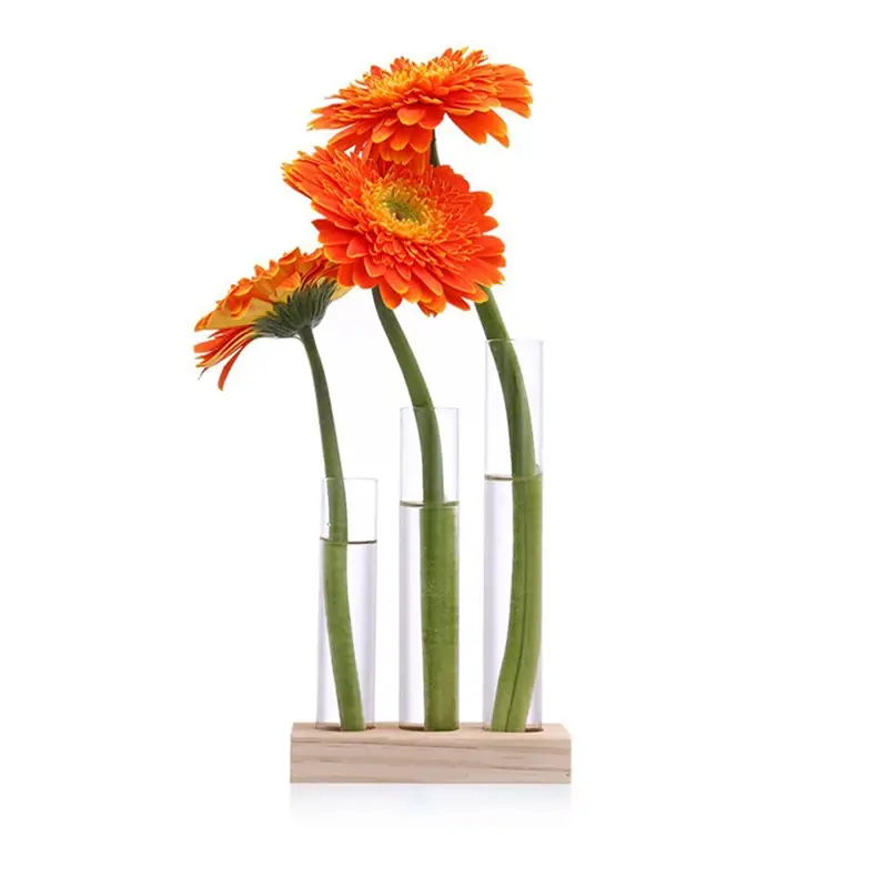 three orange flowers in glass vases on a white background