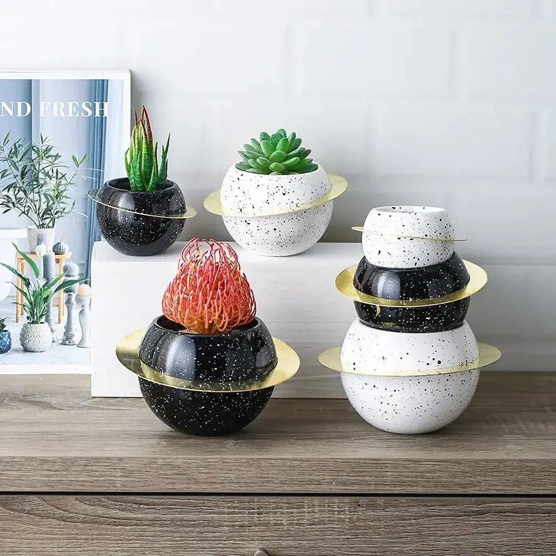 three black and white ceramic pots with succulents