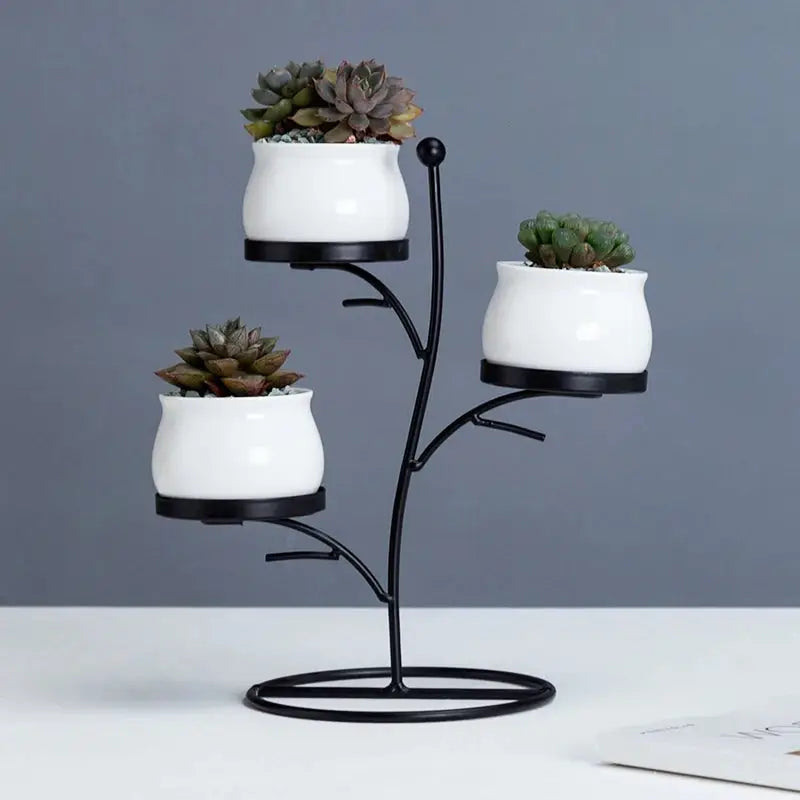 three white pots with succulents on a black stand