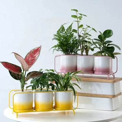 a group of three planters sitting on top of a white table