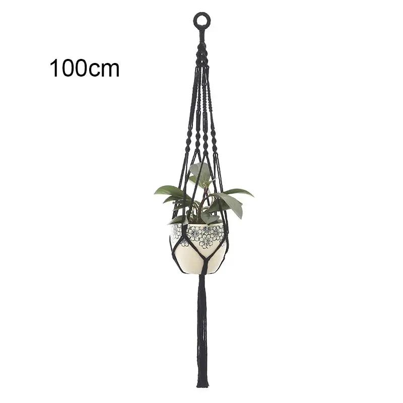 a hanging planter with a plant in it