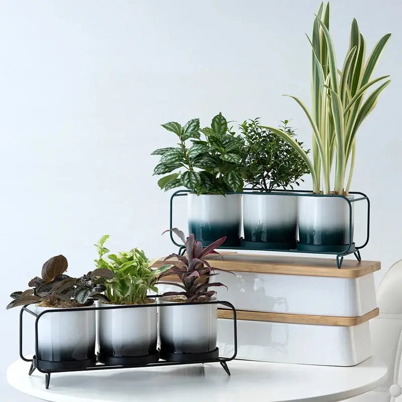 a white table topped with three planters filled with plants