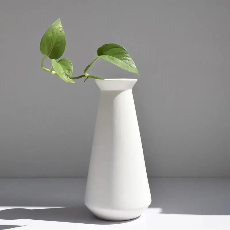 a white vase with a green plant in it