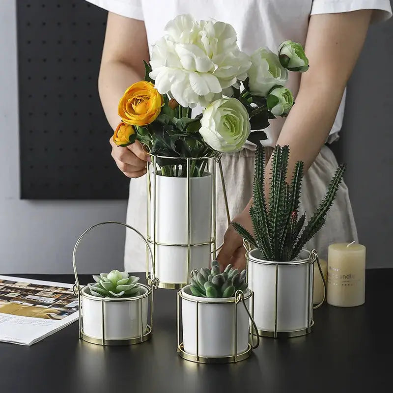 a person holding a potted plant in front of a table