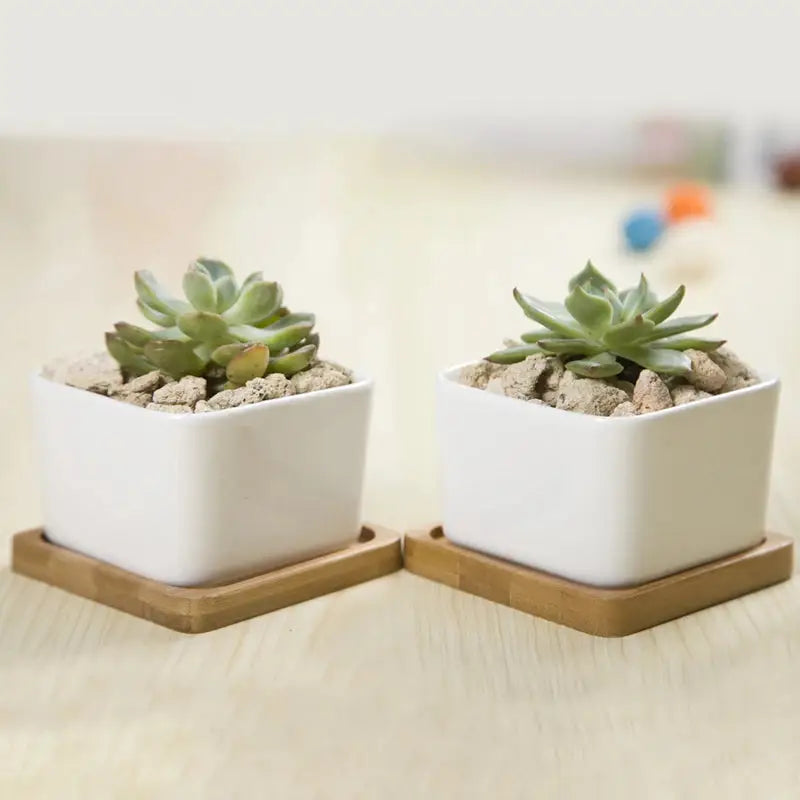 a couple of small white pots sitting on top of a table