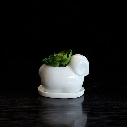 a white vase with a plant in it