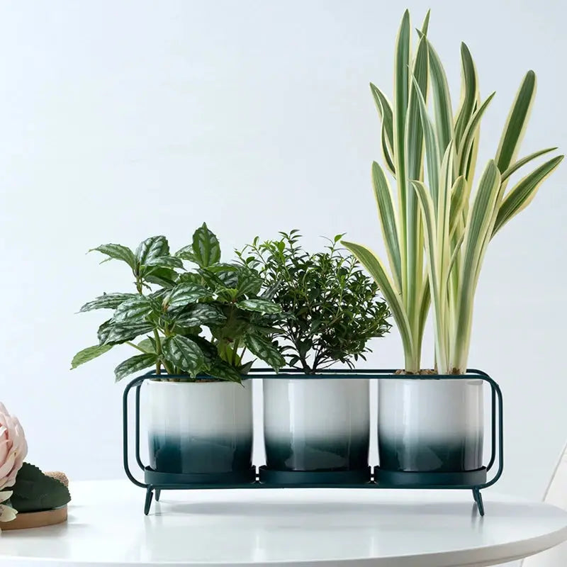 a white table topped with a potted plant on top of a white table