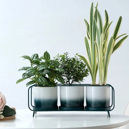 a white table topped with a potted plant on top of a white table