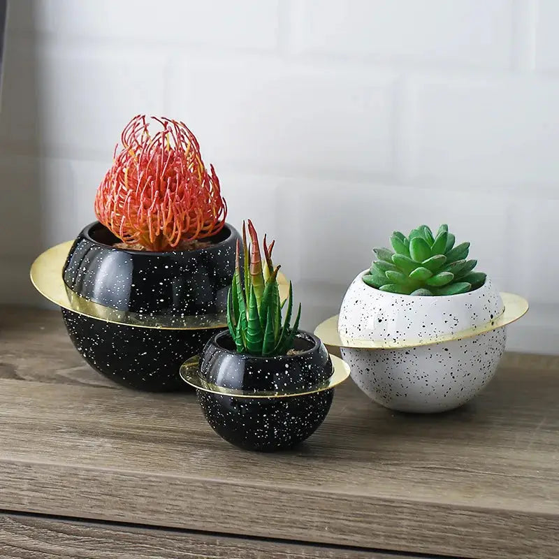 three black and white ceramic pots with succulents in them