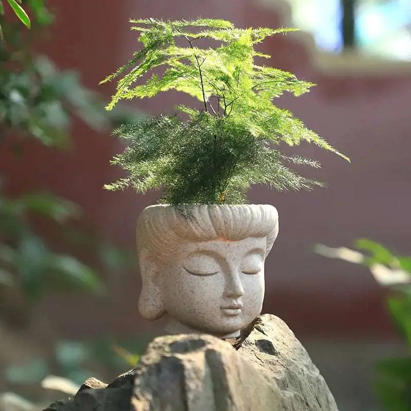 a small buddha head with a plant growing out of it