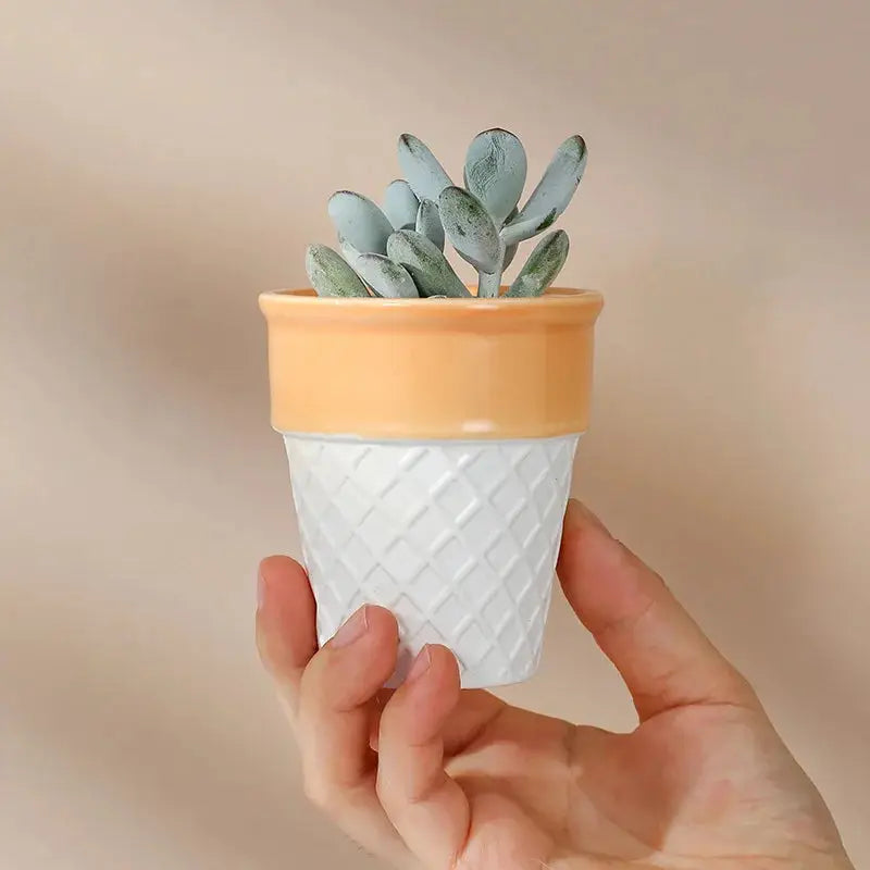 a hand holding a small potted plant in it's palm