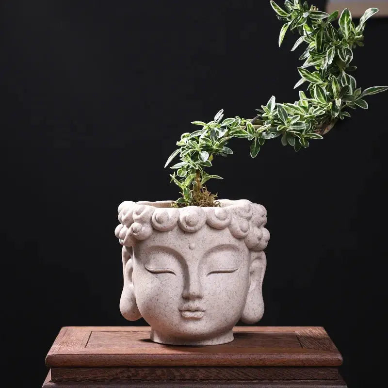 a plant growing out of a white buddha head planter