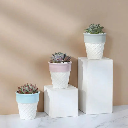 three white vases with succulents on top of them
