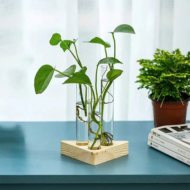 a plant in a glass vase on a table