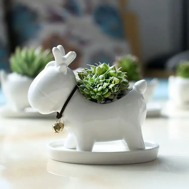 a small white animal planter with a succulent in it